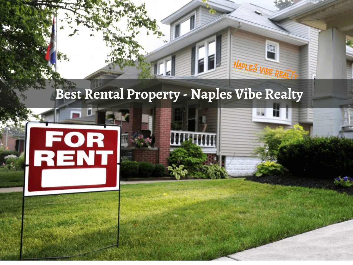 Best Rental Property